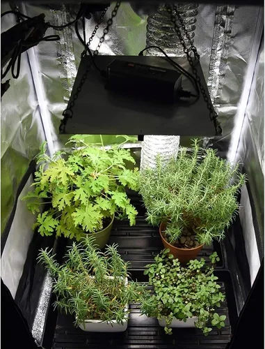 Miniatura 5 de Horticulture Lighting Group HLG 65 V2 4000K 65W Lámpara LED de Crecimiento de Tablero Cuántico para Plantas de Interior Veg & Bloom con Alta