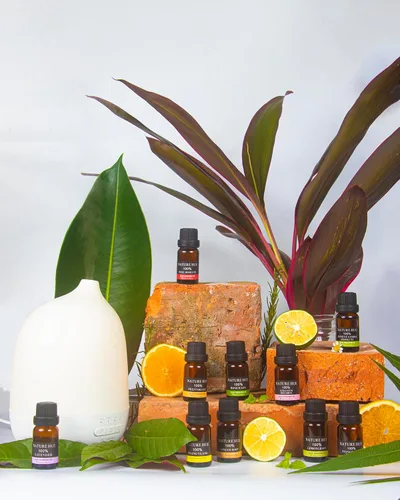 Miniatura 7 de Aceite esencial de raíz de jengibre, 10 mL, puro, natural, de grado terapéutico, para difusor, masaje, cuidado de la piel y el cabello, aroma cálido