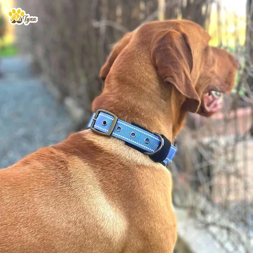 Miniatura 3 de ADITYNA Collares para perros pequeños, acolchados, de neopreno suave, ultra cómodos, reflectantes, resistentes, color azul