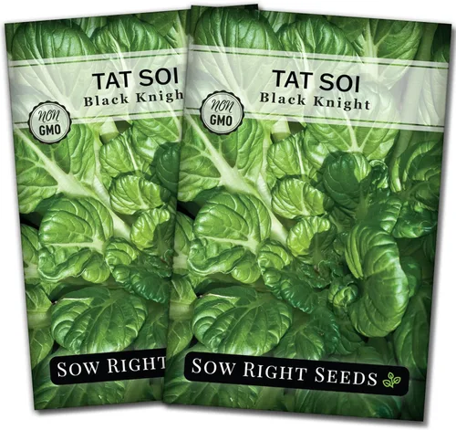 Miniatura 7 de Sow Right Seeds - Semillas Black Knight Tat SOI para plantar - Paquete de reliquia sin OMG con instrucciones para plantar un huerto casero - Mostaza