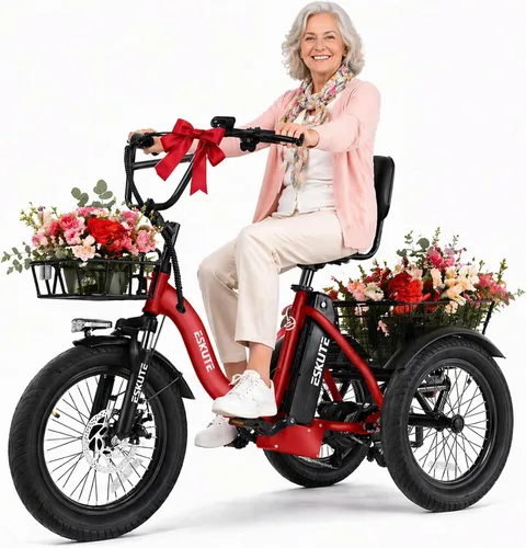 Miniatura 13 de Bicicleta eléctrica para adultos, triciclo de 1200 W de potencia máxima y batería extraíble de 499.2 Wh, neumáticos gruesos de 18x3.0, bicicleta
