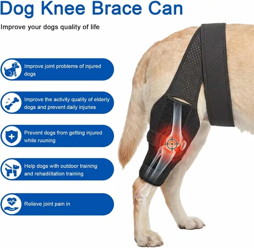Miniatura 2 de Rodillera para perro para ACL con estabilizadores laterales, soporte ajustable para cornejo articular, recuperación de cirugía de piernas caninas