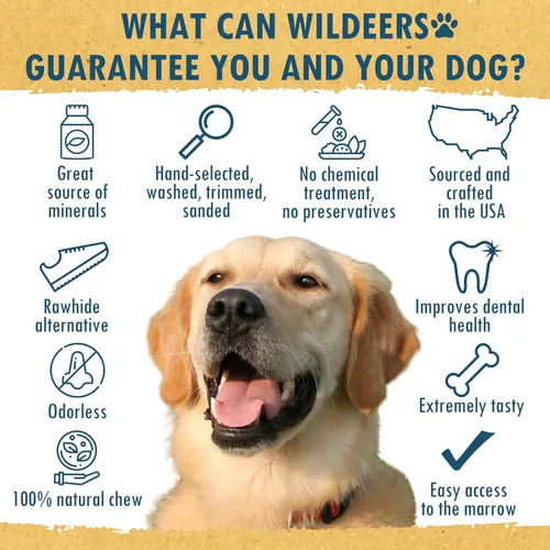 Miniatura 5 de Wildeers Cuernos divididos para perros medianos, paquete de 2, fabricados en Estados Unidos, cuernos de alce de grado A, huesos masticables