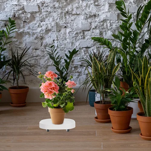 Miniatura 8 de Plato rodante para maceta con ruedas, soporte de ruedas resistente para plantas en maceta, bandeja de base redonda con ruedas, soporte para macetas
