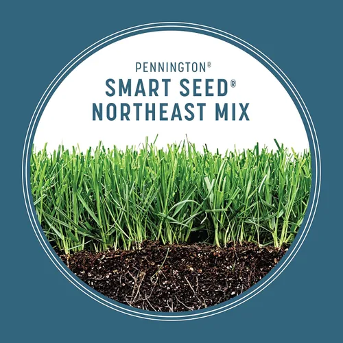 Miniatura 5 de Pennington Smart Seed - Mezcla de semillas para césped del noreste, 20 libras