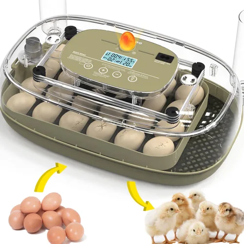 Incubadoras para incubar huevos Incubador de huevos de pollo Visualización de huevos 360° para pollo, patos, gansos, palomas, codornices 24 huevos