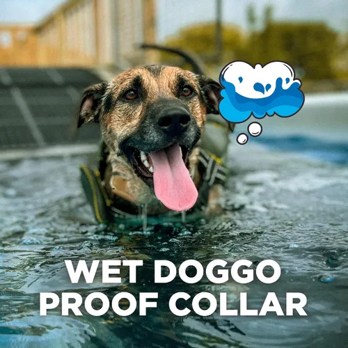 Miniatura 4 de Dogtra CUE Verde – Collar electrónico para entrenamiento de perros con control remoto – Entrenamiento hecho fácil para dueños de perros cotidianos