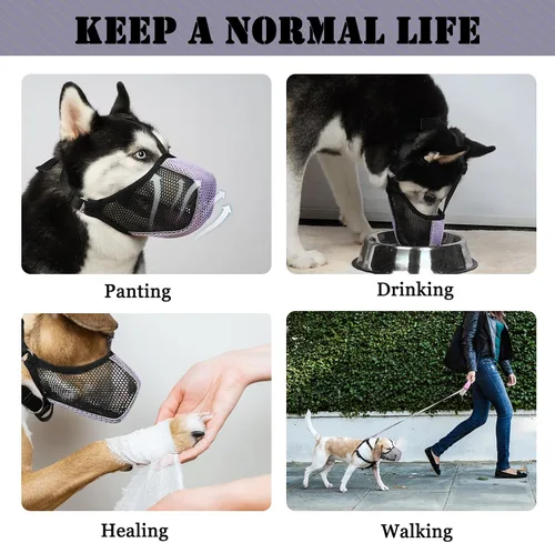 Miniatura 7 de Mayerzon Bozal para perro, bozales suaves de malla patentados para perros grandes, medianos y pequeños, caniche Husky Doberman Labrador Retriever