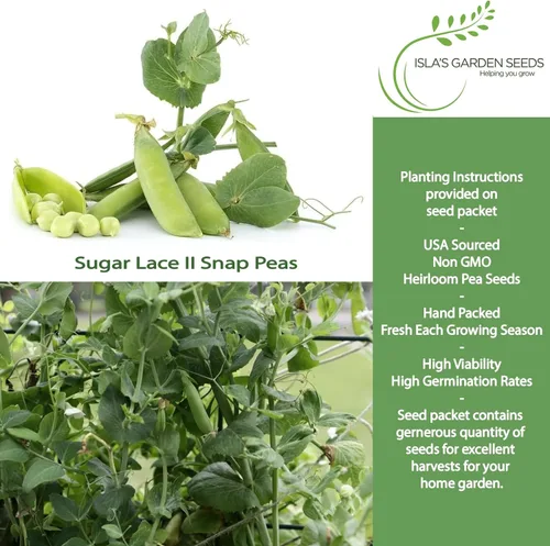 Miniatura 2 de Sugar Lace II - Semillas de guisantes para plantar, más de 50 semillas tradicionales por paquete, semillas de jardín de Isla