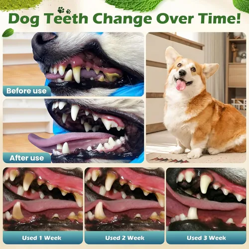 Miniatura 2 de Polvo de limpieza de dientes de perro, polvo dental para perros y gatos, ambientador de aliento para perros, mal aliento y removedor de sarro