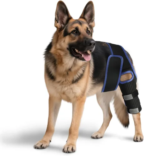 RUXAN Rodillera para perro para Acl, soportes para piernas de perro para pierna trasera, rodillera para dolor y apoyo de artritis, juego de arnés
