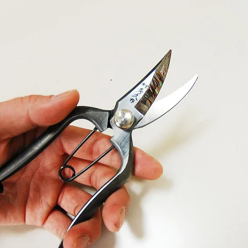 Miniatura 4 de Tijeras de podar versátiles Soke Hidehisa