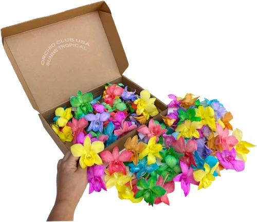 Miniatura 6 de Miami Fresh Orchid Flores perecederas de floración suelta OrchidClub USA Sunne Tropical DIY lei, decoración de alimentos y bebidas (100 azul)