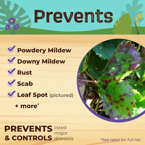 Miniatura 5 de Bonide Captain Jack's Aceite de Neem, aerosol listo para usar de 16 onzas, fungicida, insecticida y acaricida multiuso para jardinería orgánica