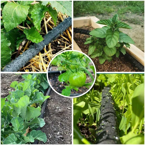 Miniatura 8 de Manguera de remojo de 1/2 pulgada y 15 pies de goma para remojo de jardín, manguera redonda de goteo de agua para riego por goteo resistente
