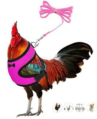 Miniatura 8 de Juego de arnés y correa para pollo, malla ajustable, transpirable, arnés de entrenamiento de pato, correas para mascotas, correas para ganso, Azul