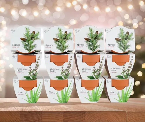 Miniatura 5 de BUZZY Seeds Radiant Collection - Paquete de 12 – Kit de iniciación de semillas de terracota todo en uno para hierbas, suculentas y árboles, incluye