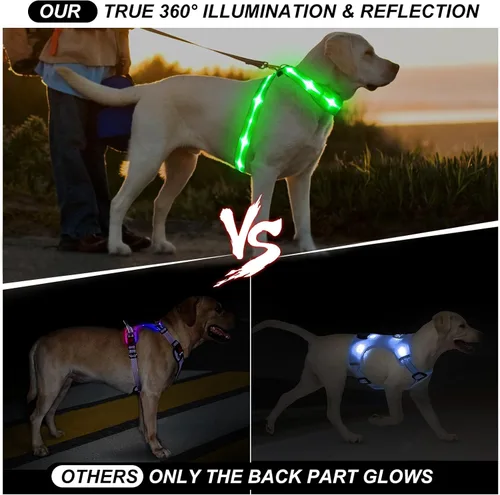 Miniatura 3 de Arnés de chaleco para perro con luz LED, recargable, ajustable y reflectante, arnés con luz LED brillante y oscura, para caminar de seguridad Verde