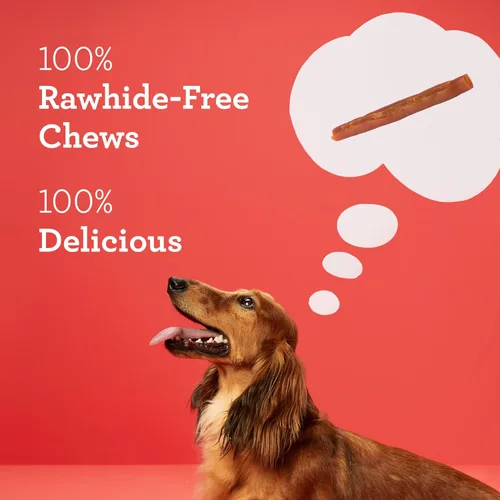 Miniatura 3 de DreamBone DreamSticks - Palitos masticables para perros sin cuero crudo hechos con carne de res y verduras reales, 15 palitos