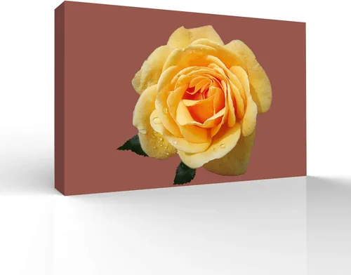 Miniatura 17 de wall26 Canvas Wall Art Beautiful Flowers Pictures Home Wall Decorations for Bedroom Living Room Paintings Canvas Prints Framed - 32x48 inches