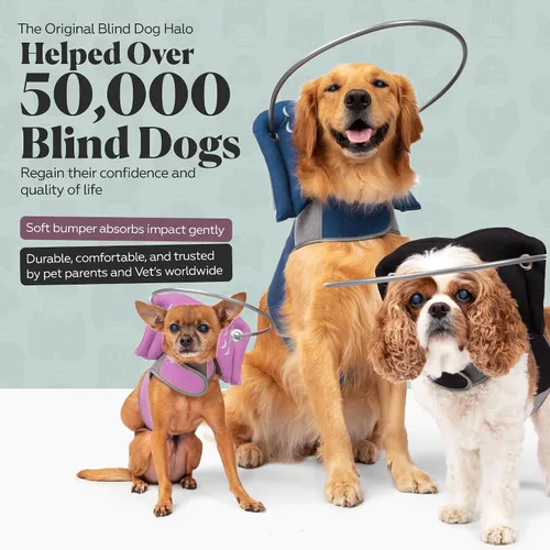 Miniatura 2 de Muffin's Halo® - El halo original para perro ciego Arnés y collar de parachoques accesorio para una navegación segura y confianza - Negro, talla 1