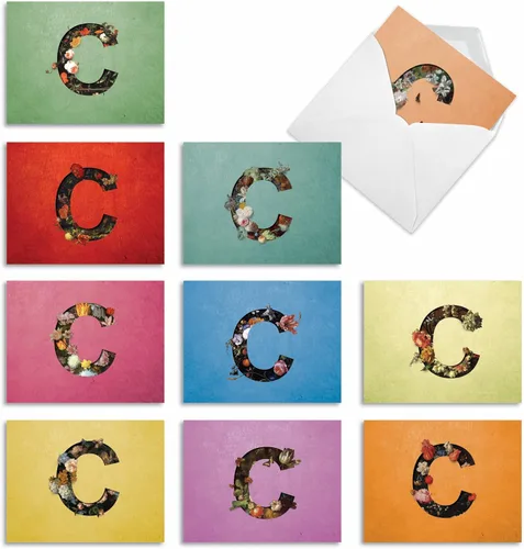 Miniatura 9 de The Best Card Company - 10 cartas iniciales "S" surtidas en blanco, hermosas flores, papeleras personales de 4 x 5.12 pulgadas, paquete variado a
