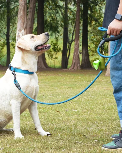 Miniatura 5 de Dynmeow Juego de collar y correa reflectante para perro, correa de cuerda de escalada fuerte de 6 pies con mango acolchado, collar ajustable