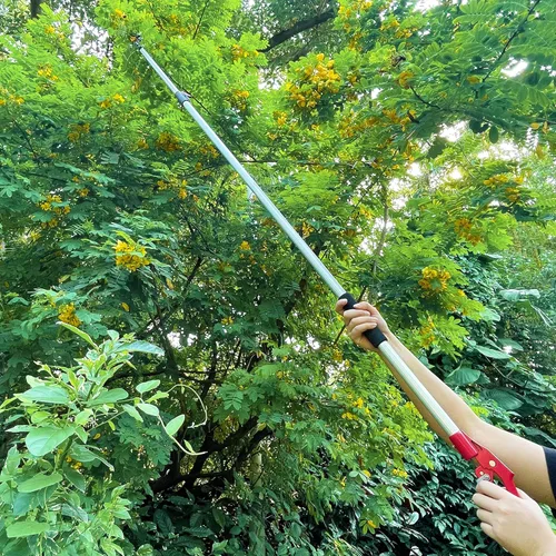 Miniatura 7 de Podadora telescópica de árbol de 5.8 a 10 pies con 2 secciones, 4 nodos ajustables, podadora de corte y sujeción, sierra de poste extensible