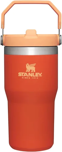Stanley IceFlow - Vaso con pajilla abatible con asa, de 20 onzas, tapa giratoria y popote abatible, botella de agua resistente a fugas, acero