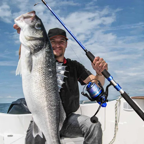 Miniatura 7 de Sougayilang Caña de pescar para bagre, 2 piezas de caña de pescar portátil de viaje MH/H/EH Power Caña de pesca de gato para spinning y casting