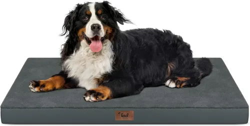 Miniatura 115 de Cama ortopédica de felpa para perros y cachorros medianos, camas impermeables para perros de 30 x 20 pulgadas con funda extraíble lavable, tapete
