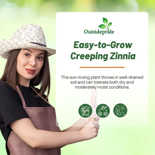 Miniatura 5 de Outsidepride Semillas de zinnia rastreras – 2000 semillas anuales de flores para plantar al aire libre, fáciles de cultivar, tolerantes a la sequía