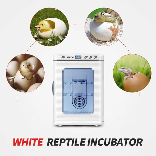 Miniatura 2 de RYFT Incubadoras para incubar huevos, incubadora portátil de laboratorio científico de reptiles de 25 L con calefacción y enfriamiento de 41.0 Blanco