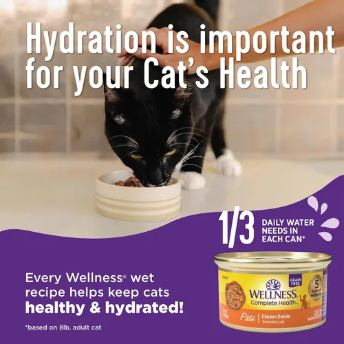 Miniatura 3 de Comida para gatos enlatada Wellness, comida húmeda, Púrpura