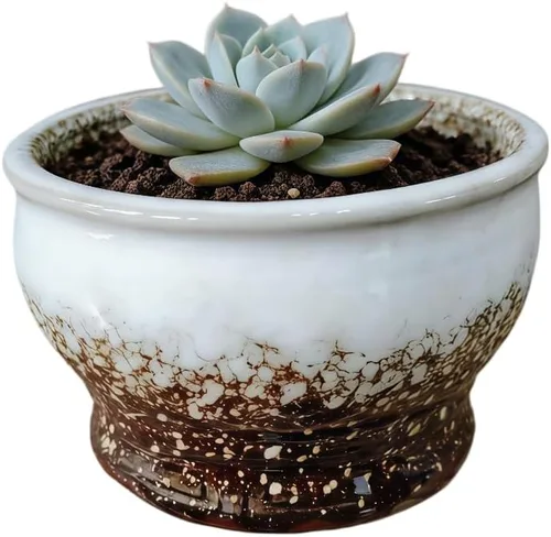 Miniatura 47 de Bonita maceta circular de cerámica para decoración del hogar y jardín, suculentas, cactus, maceta no incluida (azul, 3.19 pulgadas)