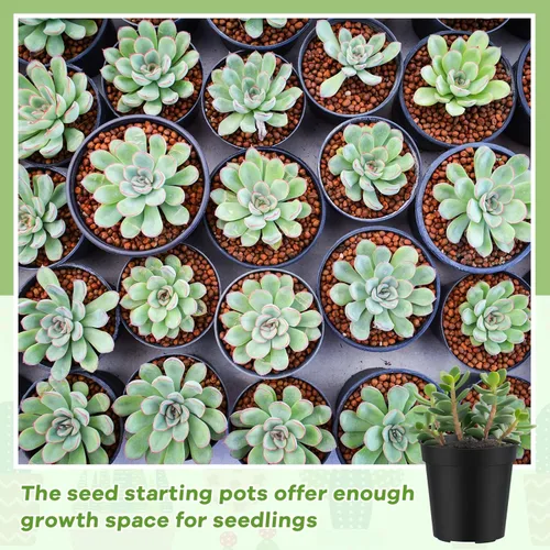 Miniatura 5 de Yaomiao 200 Piezas Macetas de Plástico Negras Mini de 2 Pulgadas para Plantas de Vivero, Macetas de Semillero Iniciador de Semillas con Agujeros