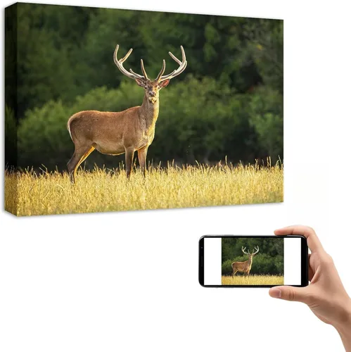 Miniatura 18 de YYYYHPP Impresiones en lienzo con tus fotos, arte de pared personalizado de foto a lienzo, impresión en lienzo para boda, familia, bebé, mascotas