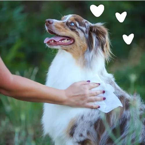 Miniatura 7 de Earthbath Toallitas para aseo de perros - Toallitas para perros para patas y trasero, Toallitas para mascotas para perros y gatos, ayuda para pieles