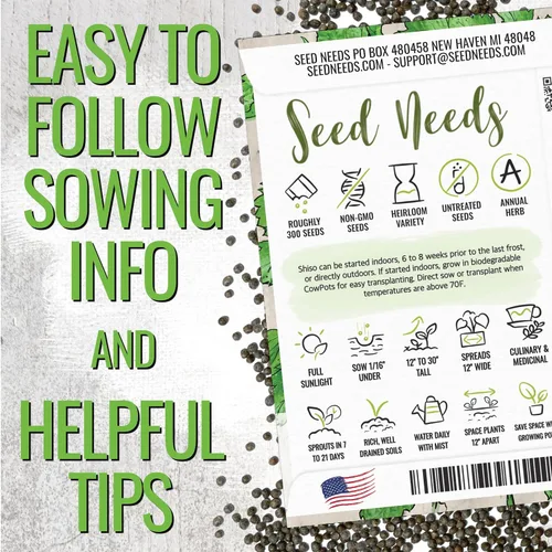 Miniatura 4 de Seed Needs Green Shiso Seeds to Plant Heirloom Perilla No GMO 5 paquetes