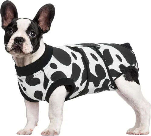 Miniatura 37 de Kuoser - Traje de recuperación posterior a la cirugía para perros y gatos, camisa profesional y vendaje de heridas abdominales, reemplaza collar
