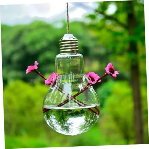 Miniatura 8 de Toddmomy Macetas redondas de cristal para colgar en la pared de las cuerdas de las macetas para las plantas de aire