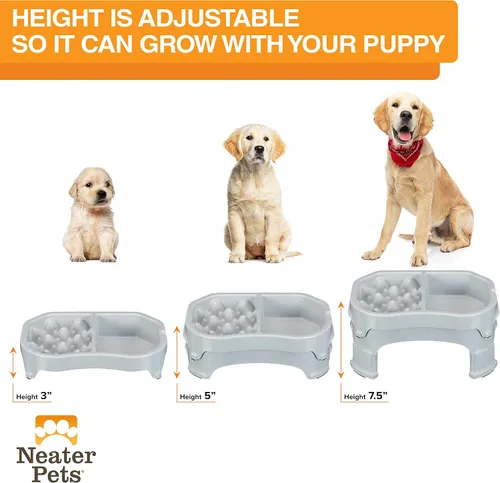 Miniatura 5 de Neater Pet Brands Comedero elevado para alimentación lenta más ordenada Cuenco elevado para alimentos para perro con altura ajustable
