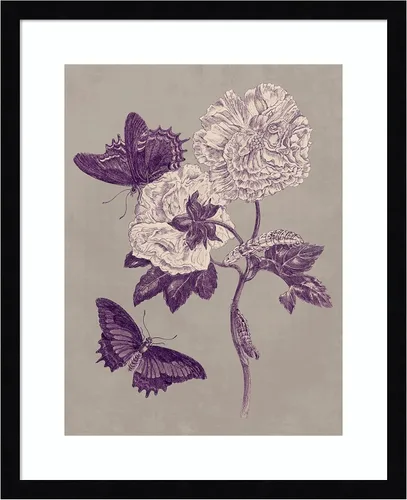 Miniatura 10 de Amanti Art Lienzo decorativo para pared, 24 x 20 pulgadas, estudio de la naturaleza en ciruela y gris pardo IV por Maria Merian, arte de pared