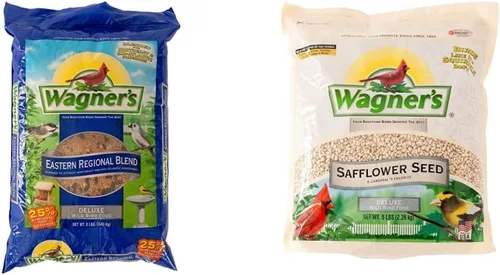 Wagner's 62011 Eastern Regional Blend - Alimento para pájaros silvestres, bolsa de 8 libras y 57075 semillas de cártamo para aves silvestres, bolsa