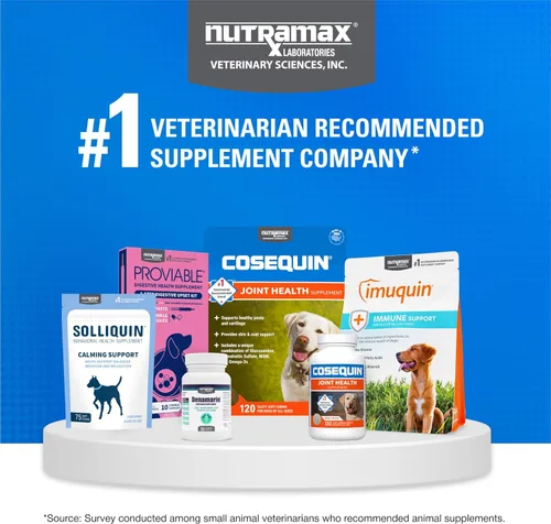 Miniatura 9 de Nutramax Cosequin - Suplemento para la salud de las articulaciones para perros, contiene glucosamina para perros, además de condroitina y MSM, apoya