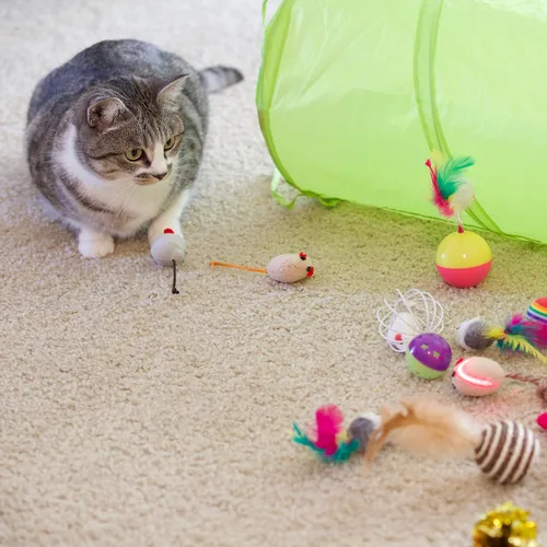 Miniatura 6 de Youngever 24 juguetes para gatos juguetes surtidos, túnel de 2 vías, plumas para gatos – juguete interactivo de plumas esponjoso ratón, pelotas