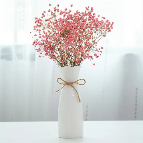Miniatura 2 de Florero de cerámica bohemio con cuerda, 8.2 pulgadas de alto, jarrón rústico de estilo clásico para flores secas y flores frescas, apto para White-1