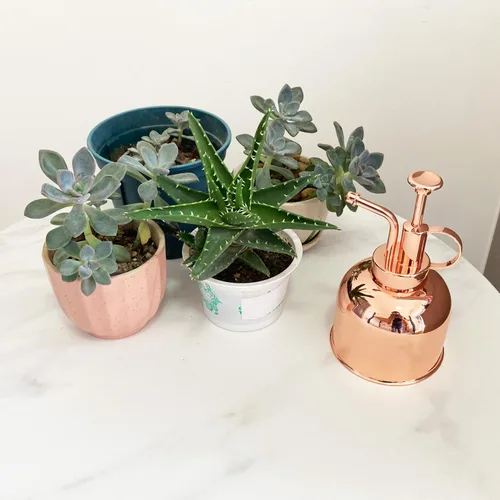 Miniatura 4 de Rociador de Plantas Botella Pulverizadora de Acero Inoxidable Pulverizador de Plantas, Regadera Pequeña Botella Rociadora de Plantas Herramientas