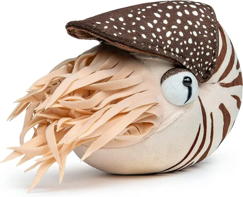 Nautilus - Animal de peluche realista de Nautilus, juguete realista de Nautilus de 8 pulgadas, peluche suave de criaturas marinas modelo Nautilus,