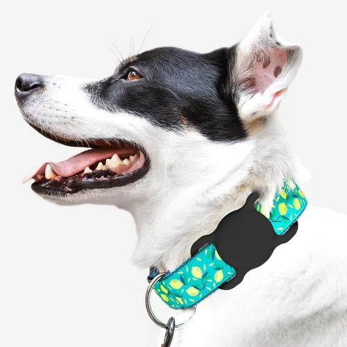 Miniatura 6 de Soporte para AirTag para collar de perro [2 unidades] Soporte impermeable de silicona elástica de alta resistencia para perros y gatos